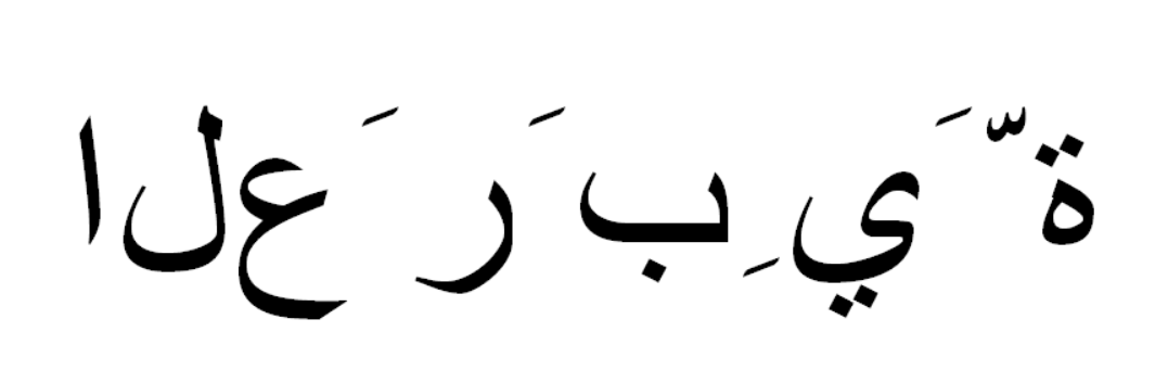 Image of non-typeset Arabic text (isolated characters)