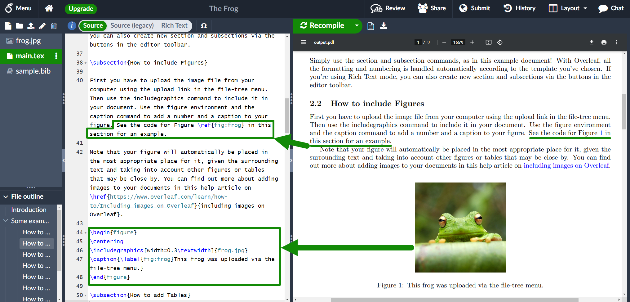 How to delete the frog image from the Example Overleaf Project