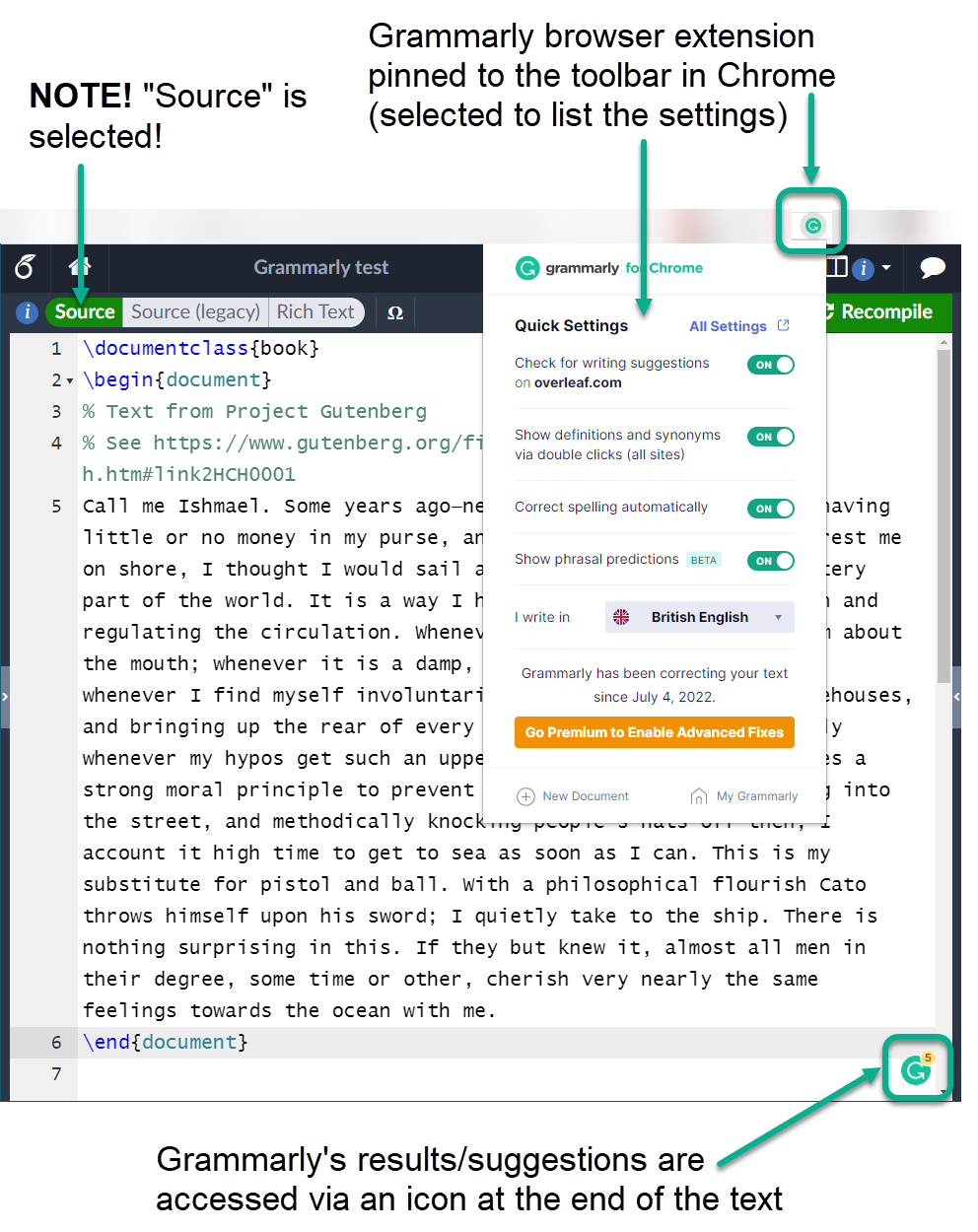 Image showing available settings in Grammarly Chrome extension