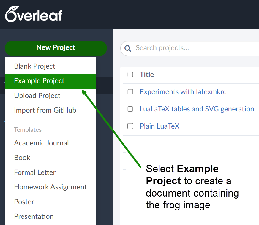 How to Create an Example Project on Overleaf