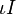 \iota I